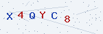 CAPTCHA verification code